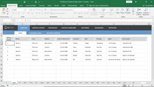 Load image into Gallery viewer, Planilha de Controle de Gado Leiteiro em Excel 4.0