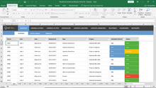 Load image into Gallery viewer, Planilha de Controle de Rebanho Ovino em Excel 4.0
