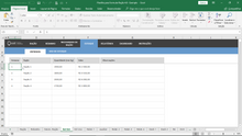Load image into Gallery viewer, Planilha para Formular Ração em Excel 4.0