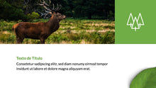 Load image into Gallery viewer, Apresentação com tema Natureza